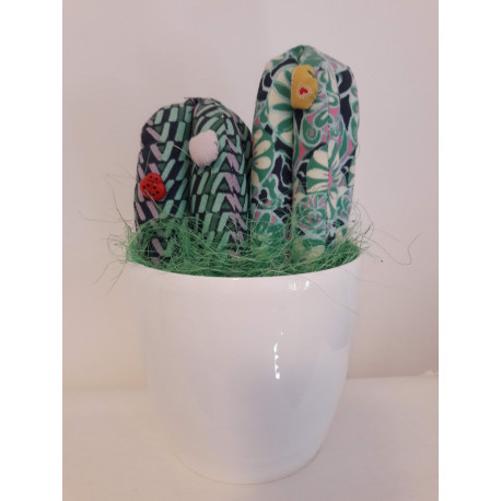 Cactus ferma Finestra